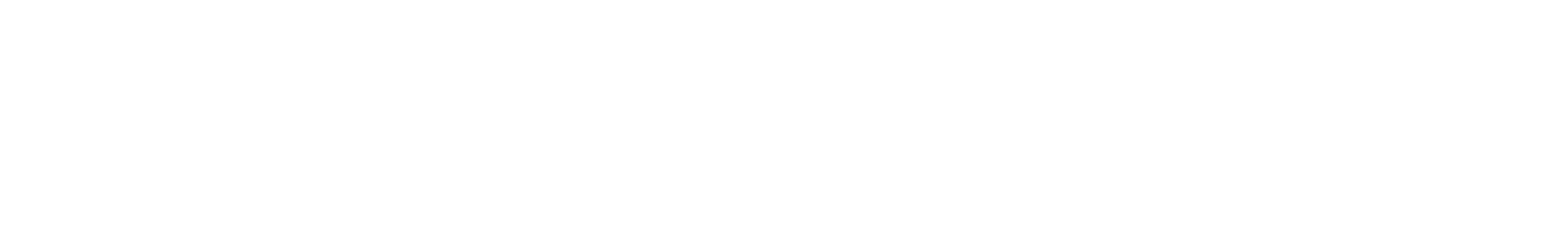 IT Solution Gasys